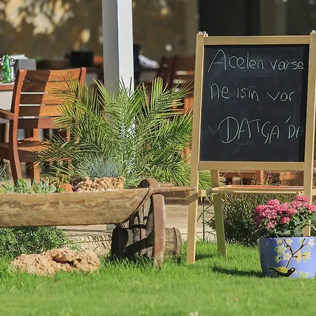 Nocleg ze śniadaniem Savana Boutique 3*